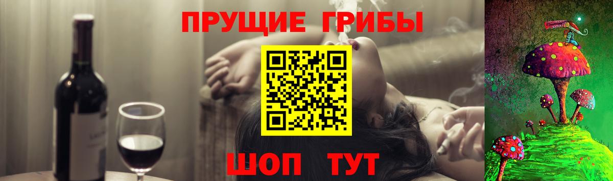 Галлюциногенные грибы GOLDEN TEACHER  Псилоцибиновые грибы MAGIC MUSHROOMS  Вход с VPN  Медногорск 